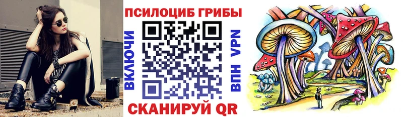 Галлюциногенные грибы мухоморы  Луга 
